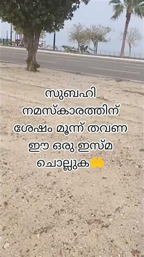 #islamicstatus സുബഹി നമസ്കാരം കഴിഞ്ഞ് മൂന്ന് തവണ ഈ ഒരു ഇസ്മ ചൊല്ലുക ♥️🤲🤲