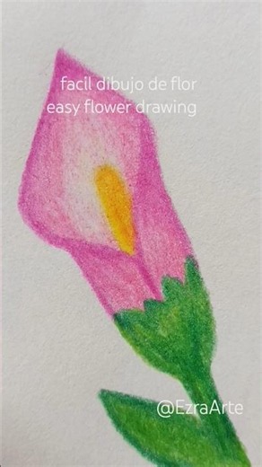 dibujando una flor/drawing a flower #arte #art #drawing