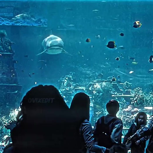 movie #netflix #usa #unitedstates #america #uslife #usavibes #newyork #nyc #losangeles #la #trump #funny #fyp #foryou #trending #viral #comedy #funnyvideo #hbomax #cinema #film #reel #usagirls #woman #Love #horror #hbomax #warnerbros #marvel #romantic #latest #news #entertainment #books #garden #anime #adult #ballibotmogis #viralvideo #capcut #california #texas #florida #miami W #chicago #illinois #houston #dallas #atlanta #georgia #lasvegas #nevada #sanfrancisco #seattle #washingtonstate #bosto