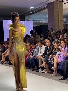 74K views · 3K reactions | Miss Universe 2024 - Celinee Santos Miss República Dominicana destacando en el Rd Fashion Week para Gianina Azar. #MissUniverso2024 #MissRdUniverse | Argentina - The Perfect Miss | Facebook