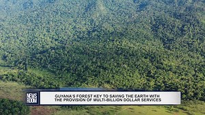 Guyana’s tropical rainforest is acknowledged as one of the few forests remaining intact globally that can help the world fight the climate crisis and has now attracted new support from the European Union (EU). The Government of Guyana and the EU inked a Forest Partnership Memorandum of Understanding (MoU) at the sidelines of COP 27 in Egypt on Tuesday. Through this MoU, Guyana will receive €5 million to help with the preservation of its forests. Mongolia, the Republic of Congo, Uganda and Zambia