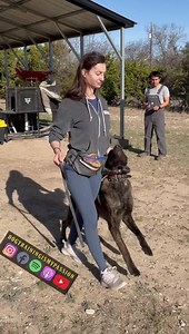 117K views · 645 reactions | This client has been working with us for...