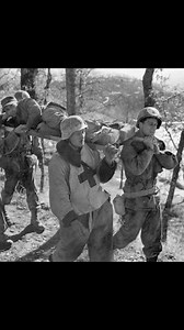 43K views · 1.3K reactions | US and German medics working together to save lives on the battlefield was a refreshing sign of humanity during the brutal fighting of WWII. #WWIIfacts #history #wwii #didyouknow | World War Wisdom | Facebook