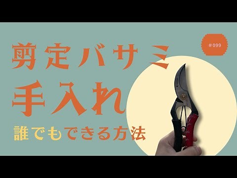 [Anyone can do it] How to care for pruning shears | I'll show you the tools I use and how to actu...