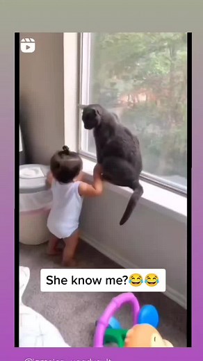 Bajan Comedy (@bajan.comedy)’s videos with original sound - Bajan Comedy