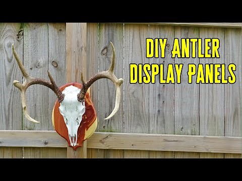 DIY European Mount Display Panel – Deer Skull Mount