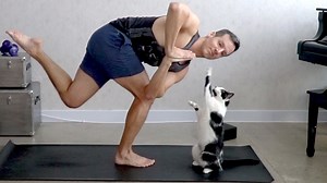 36K views · 4K reactions | Every yoga session deserves a yoga kitty. | Shorty and Kodi | Facebook