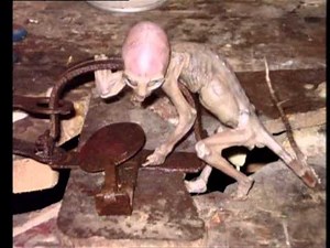 Scary ALIEN caught in Mexico