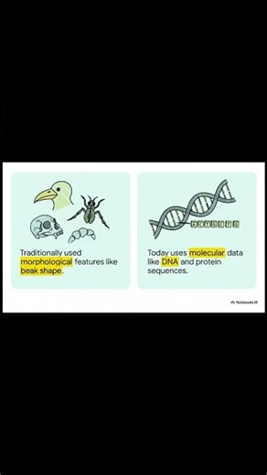 From Bones to Code The Evolution of Evolution #shorts #phylogenetictree #phylogeny