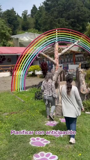 Funeral Pet on TikTok