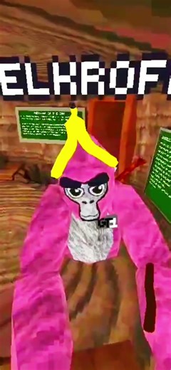 Project marco added a camera mod #gorillatag #trolling #funnyimages #gorillatagquest #funny #gtag