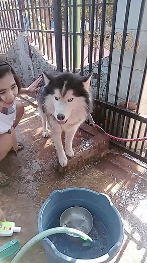 Zelong သည် TikTok ပေါ်တွင် ရှိသည်