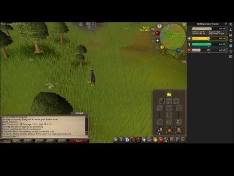 OSRS Grey chinchompa guide UPDATED / current - dank plays old school runescape Grey chins