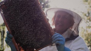 A female beekeeper holds a bee frame in her hands. The female apiarian takes care of her apiary, hive and queen. Agribusiness in the apiary under the sun. Ready for harvesting honey.