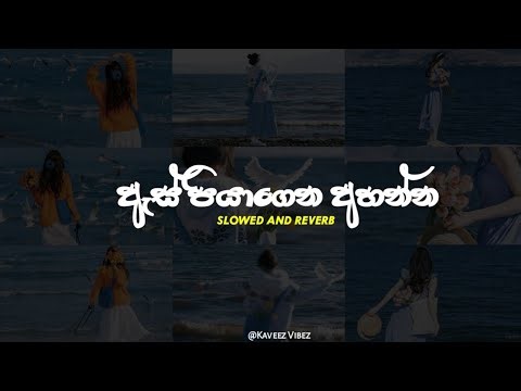 ඇස් පියාගෙන අහන්න( Manoparakata songs collection ) Slowed + reverb || Playlist 5