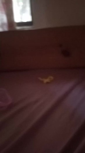 Videos de @yessi._. (@yessi._.g4) con “ASMR Ocean Waves and Tibetan Bowls - Vandrende Kvinne”