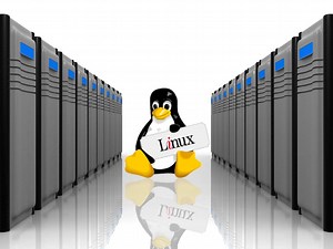 Linux サーバーを構成する インストール方法は? - ビダバイト