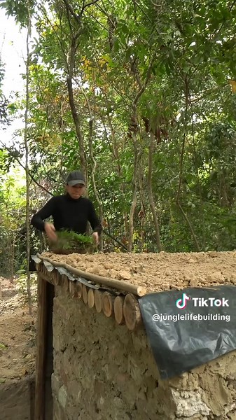 Jungle Life on TikTok