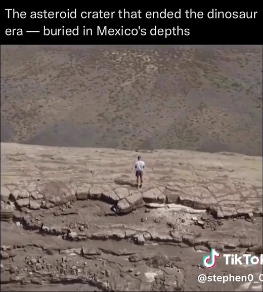 Around 66 million years ago, a massive asteroid struck Earth near what is now the Yucatán Peninsula in Mexico. This impact created the Chicxulub Crater — a gigantic, bowl-shaped scar more than 150 kilometers wide. When the asteroid hit, it released energy equal to billions of nuclear bombs. The explosion instantly vaporized rock, ignited global wildfires, and sent shockwaves around the world. Huge tsunamis swept across ancient oceans, and dust and debris were blasted high into the atmosphere, bl