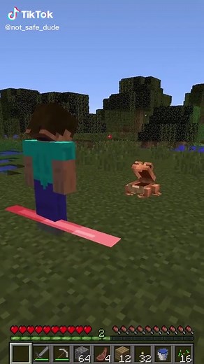 NPC Minecraft Meme Compilation