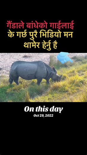 Bhimgul's Day: A Reflection on October 29, 2022