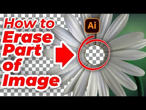 How to Erase Part Of An Image In Illustrator - Make Transparent Background in Adobe Illustrator
