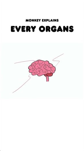 Brain: Monkey’s Dramatic Boss