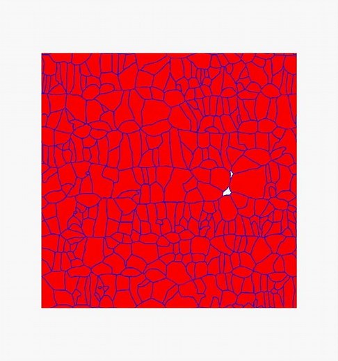 Phase field modelling-Austenite formation during fast heating