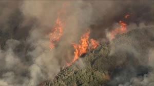 Is Humanity Facing a Code Red Climate Emergency?