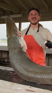 Cooking Alligator Gar: Knife Mishap and Frying Tips