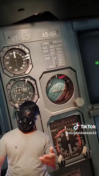 Mundo da Curiosidades no TikTok