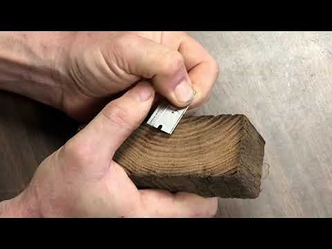 American chestnut wood identification