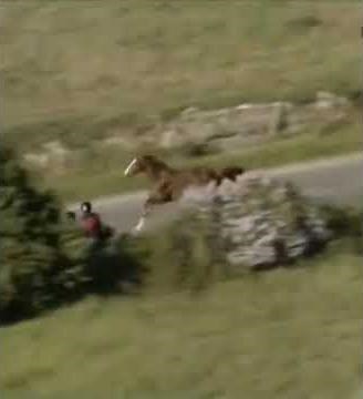 Tour de France INCREDIBLE SITUATION. The horse jumps over the fence and runs next to the cyclists.