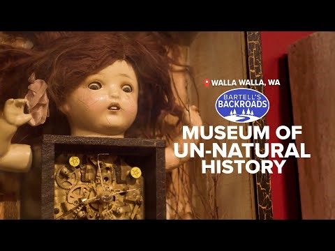 'Stranger Things' Energy Inside This Creepy Washington Museum | Bartell's Backroads