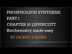 Phospholipid synthesis Part 1| Chapter 17 Biochemistry made easy by Dr Bint e Hawa