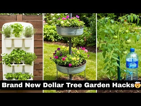 Dollar Tree Garden Hacks Every Gardener Should Know🌿✨
