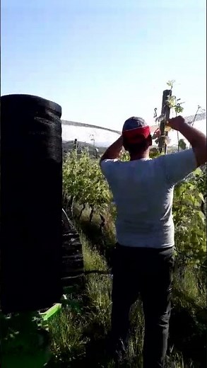 Reti antigrandine per vigneto
