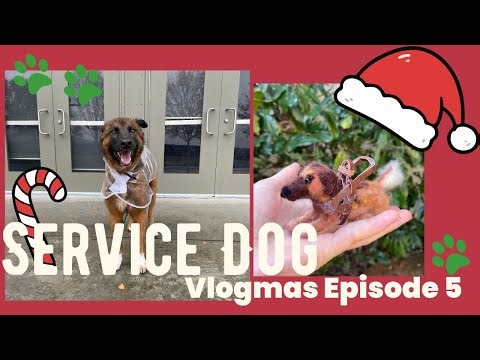 Vlogmas episode 5 (Service Dog Edition)