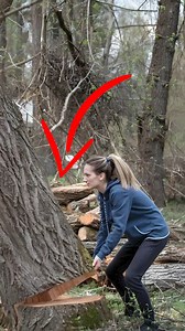 Rarest Thing in the Universe #FactReel #AmazingFacts #MindBlowingFacts | Amazing World हिन्दी