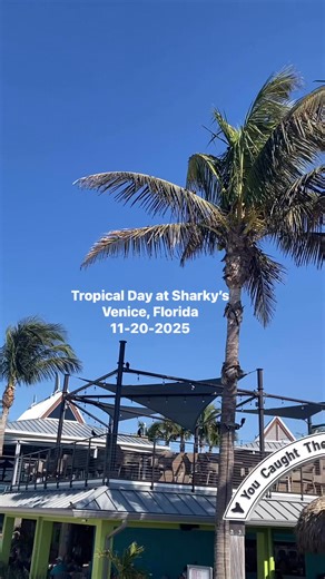 Sunny day at Sharky’s Venice, Florida 11-20-2025 See my favorite photo taken here with print options: https://liesl-walsh.pixels.com/featured/moon-over-sharkys-venice-florida-liesl-walsh.html #sharkys #veniceflorida #venicefl #florida #gulfcoastliving #tropicalparadise | Liesl Walsh Photography