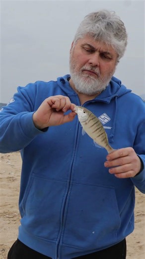 Εκεί που πιάνει πάντα… Τούζλα! 🐟✨