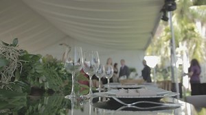 Free Party Videos: 4K & HD | No Watermark | Download Now