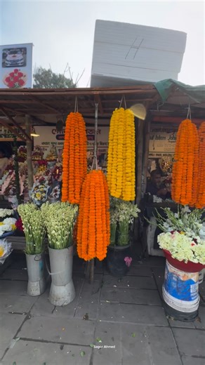 Pov: You are addicted to flowers 💐 | Flowers Gifts