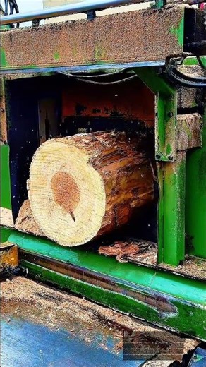 High Precision Automatic Wood Cutting | Industrial Log Processing Technology