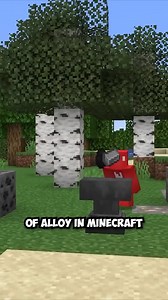 Notch Never Added This to Minecraft | Skip the Tutorial