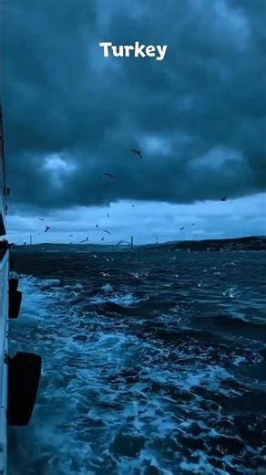 Ocean Waves & Seagulls Sounds 🌊 | Deep Relaxing Sea Ambience