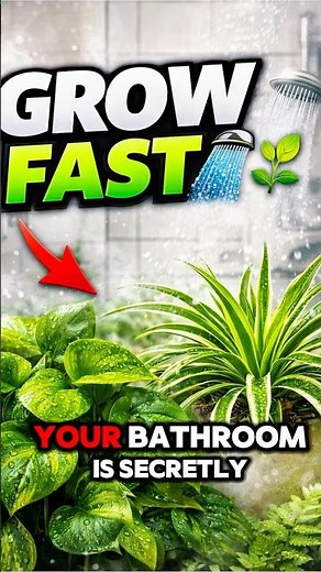 Best Bathroom Plants That Grow FAST 🚿 🌿 #plants #plantshorts