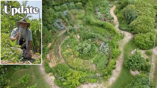 July Garden Update!: A Year’s Worth of Food, Multiple Experiments & Companion Planting Combinations!