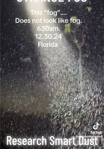 Brainstorm on TikTok