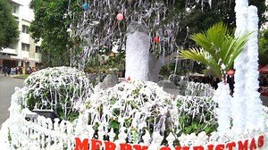 44K views · 571 reactions | A LUMINOUS VIEW OF BANGALORE CENTRAL CAMPUS DURING CHRISTMAS SEASON 2019 | Christ- Deemed to be University | Facebook